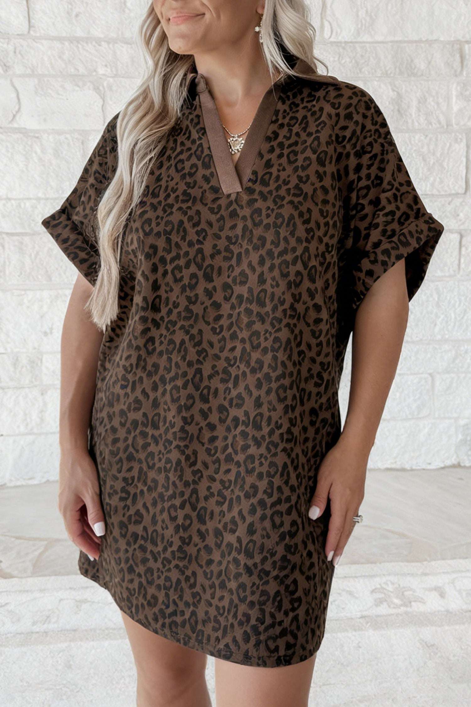 Brown Leopard Print Contrast Collar V-Neck Mini Dress